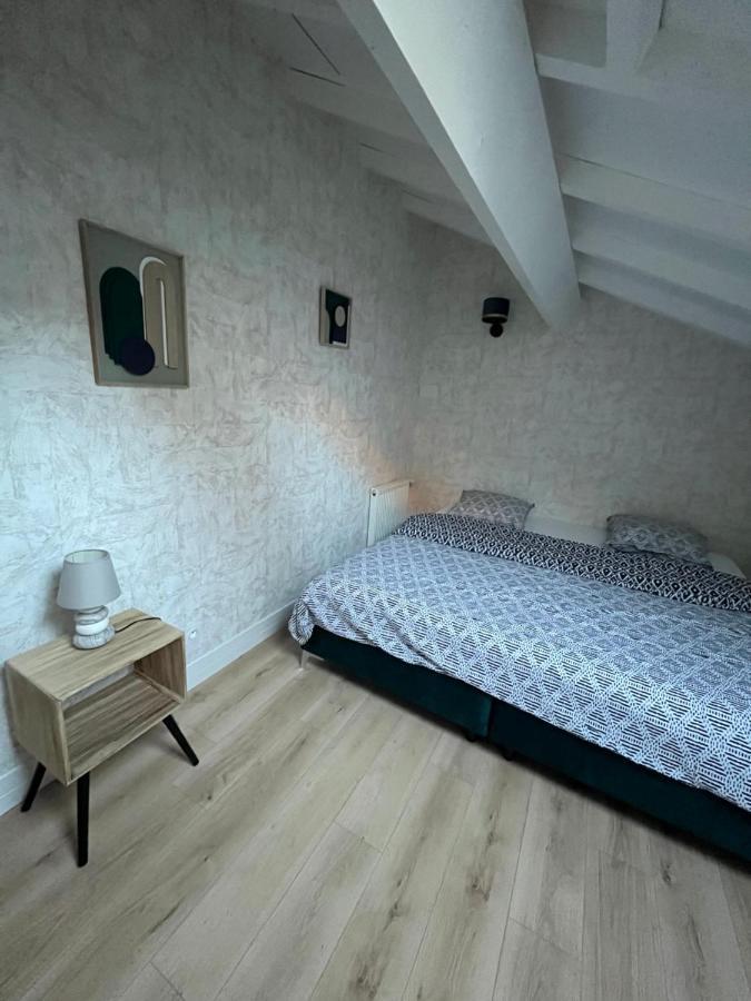 Appart Hotel Le 8 Le Duplex Mâcon المظهر الخارجي الصورة